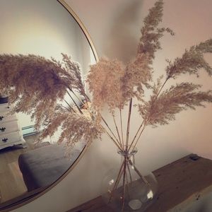 Listing for @tumibella